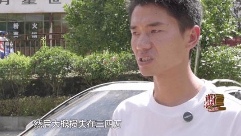 古树砸扁宝马 林业局：车主也有错
