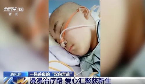 589092元善款 全额退还28689位网友