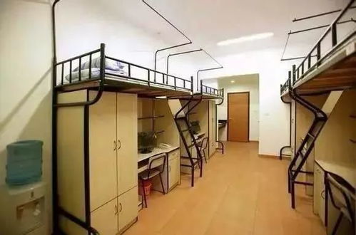 猴子下山“造访”贵州大学一宿舍
