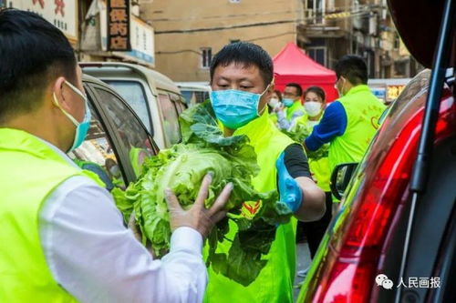 夫妻自驾到内蒙捡蔬菜：捡了约500斤