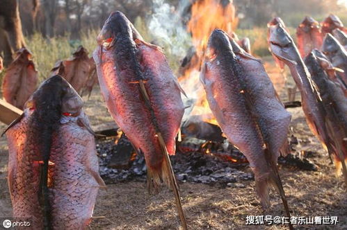太空烧烤“滋滋冒油”馋坏全球网友