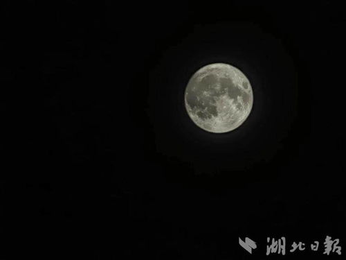 60秒直击今年最大“超级月亮”