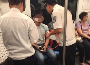 有人在地铁车厢内牵马？马主人回应