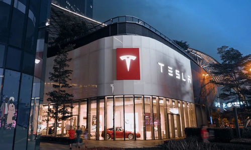 美股异动 | 特斯拉(TSLA.US)涨逾4% 豪掷200亿美元加码AI和机器人赛道