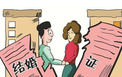 夫妻8年还清百万债务首次回家过年