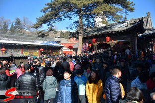游客五台山凌晨排队5小时迎财神