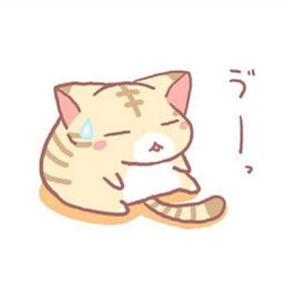 猪脸多少钱一斤市场价