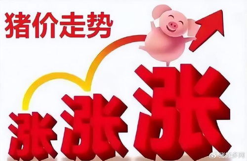 光棍节猪价多少钱一斤