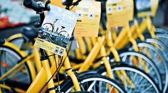男子将20万礼金遗落共享单车车篮里