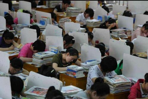 男生复读一年从400多分到630分