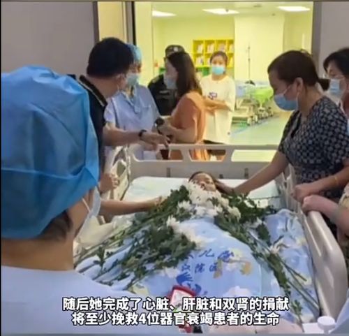 四川一藏马熊从山上摔落受伤死亡