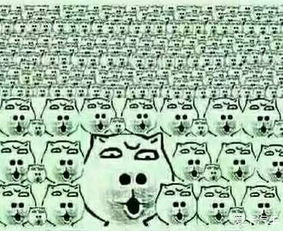 女子吃见手青产生“看见小人”幻觉